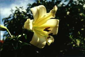 Foto: Norgart Martschinke